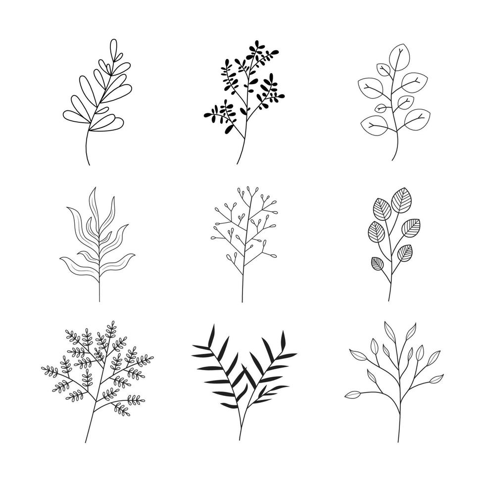 minimalistisch Blumen und botanisch Sammlung. Hand gezeichnet Blumen- Zweig, Blätter Kräuter und wild Pflanzen einstellen im Linie Stil. zum Dekoration, Hochzeit und Einladung Karte, Design Projekt. Illustrator Vektor