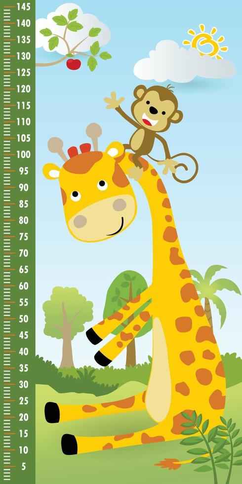 Höhe Messung Mauer mit komisch Affe Klettern Giraffen Hals zu wählen ein Obst im Wald, Vektor Karikatur Illustration