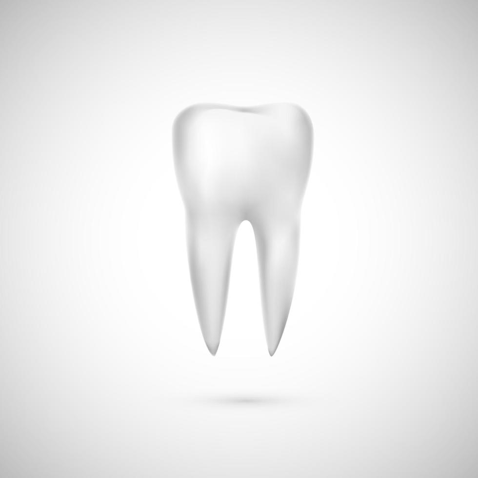 realistisch Zahn Illustration. Dental Pflege und Zähne Wiederherstellung. Medizin Symbol. Vektor