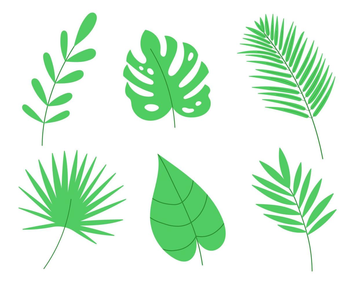 tropisch Palme Blätter Satz. Karikatur Vektor Illustration.