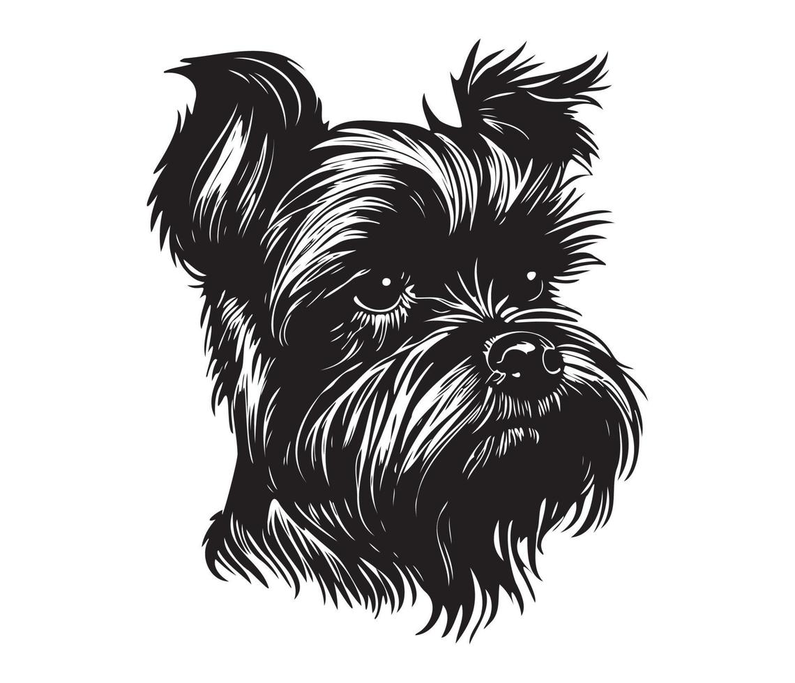 affenpinscher Gesicht, Silhouetten Hund Gesicht, schwarz und Weiß affenpinscher Vektor