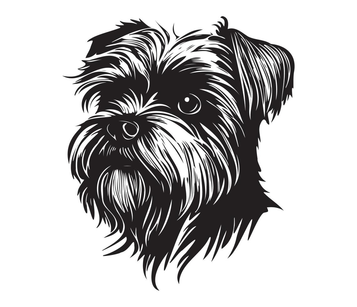 affenpinscher ansikte, silhuetter hund ansikte, svart och vit affenpinscher vektor