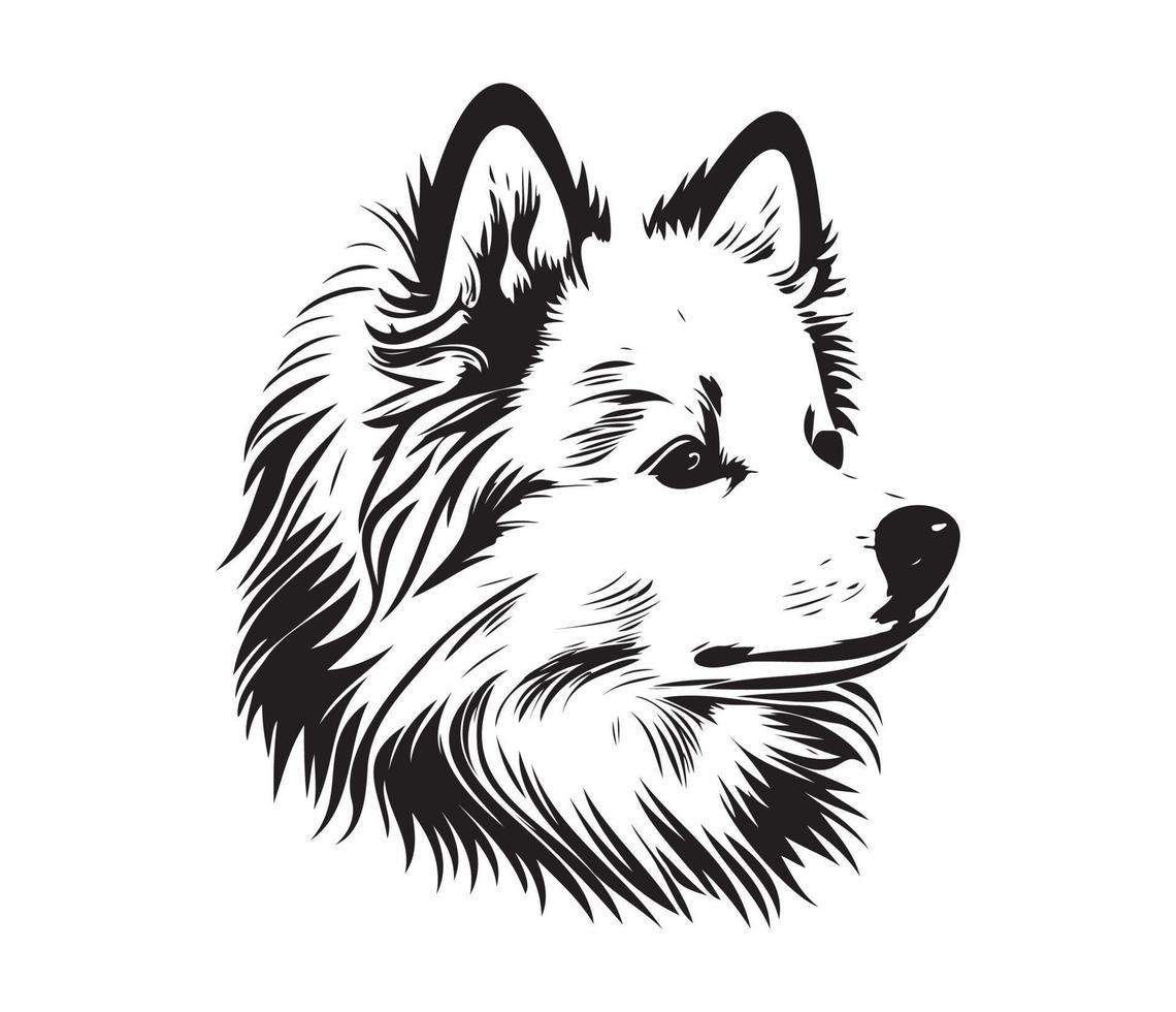 amerikanisch Eskimo Hund Gesicht, Silhouetten Hund Gesicht, schwarz und Weiß amerikanisch Eskimo Hund Vektor