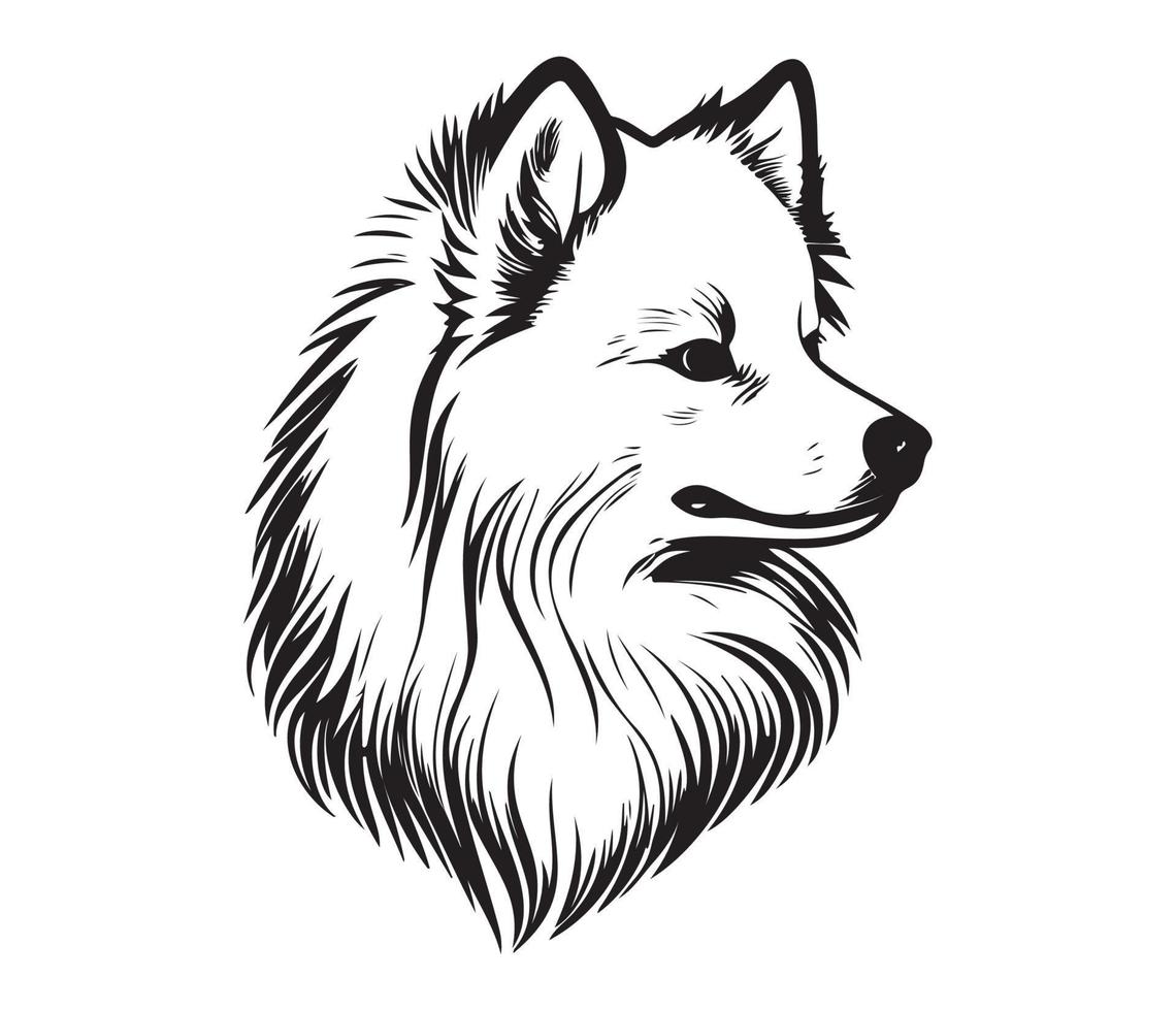 amerikanisch Eskimo Hund Gesicht, Silhouetten Hund Gesicht, schwarz und Weiß amerikanisch Eskimo Hund Vektor