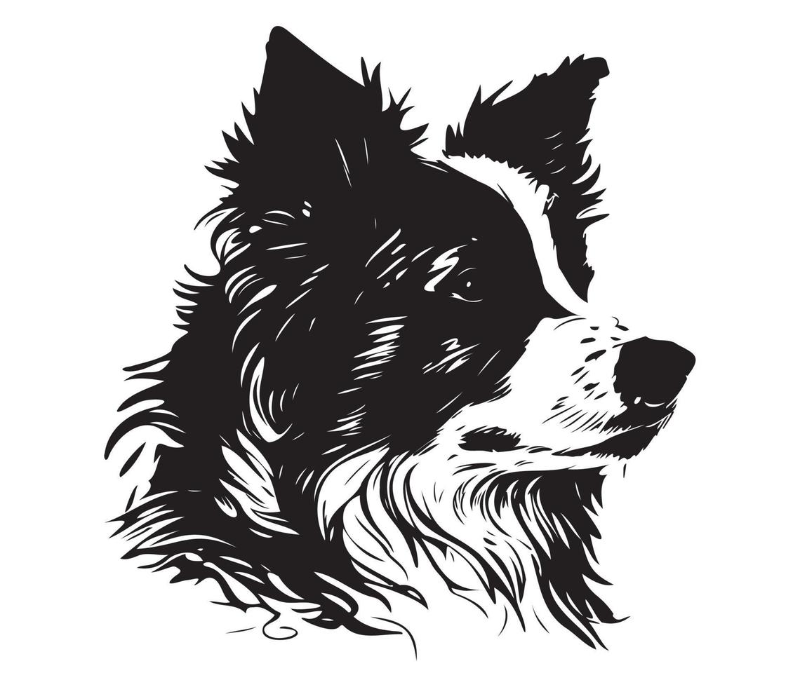 Rand Collie Gesicht, Silhouette Hund Gesicht, schwarz und Weiß Rand Collie Vektor