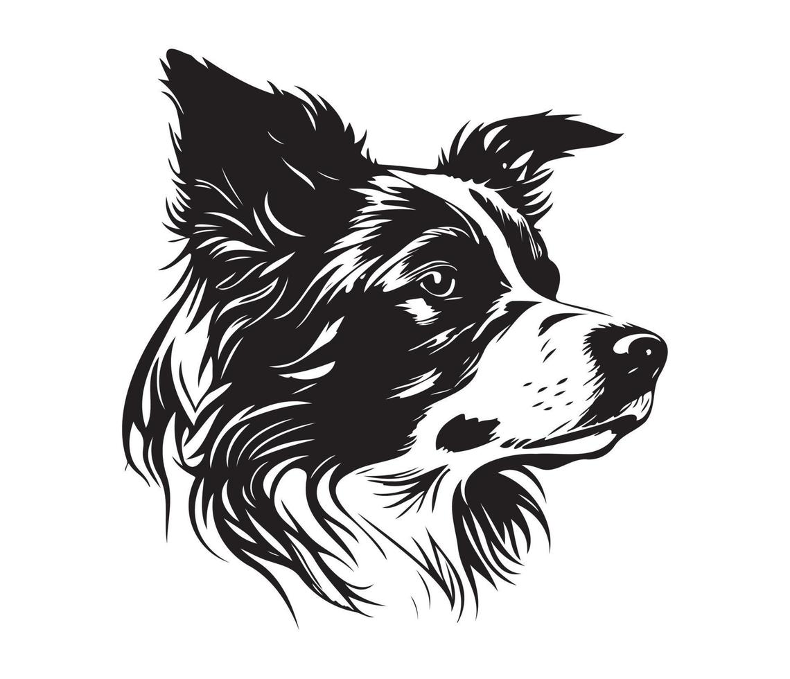 Rand Collie Gesicht, Silhouette Hund Gesicht, schwarz und Weiß Rand Collie Vektor