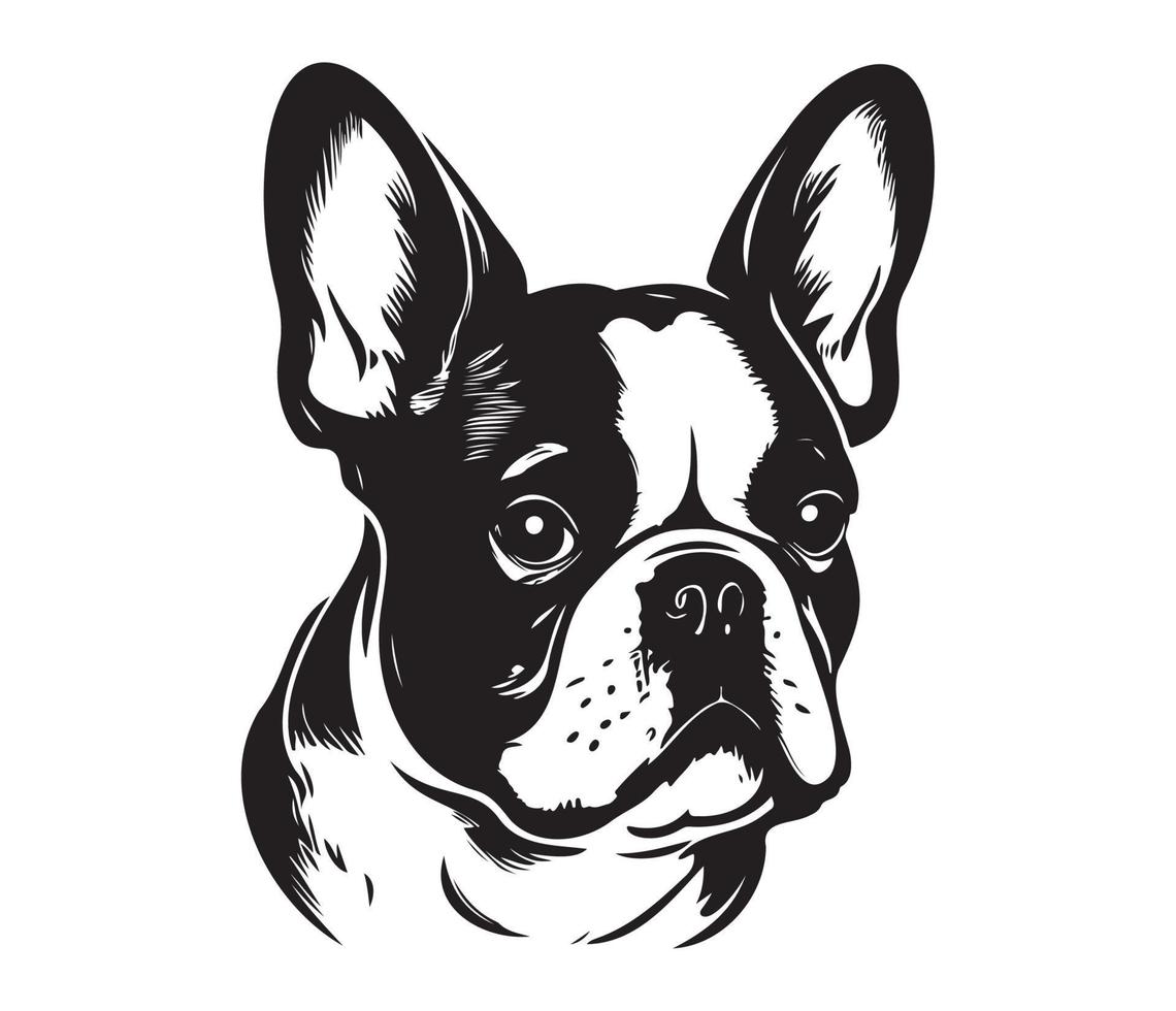 franska bulldogg ansikte, silhuett hund ansikte, svart och vit franska bulldogg vektor
