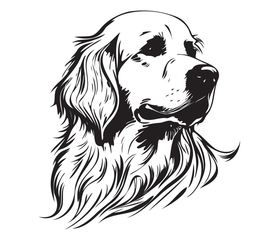 golden Retriever Gesicht, Silhouette Hund Gesicht, schwarz und Weiß golden Retriever Vektor