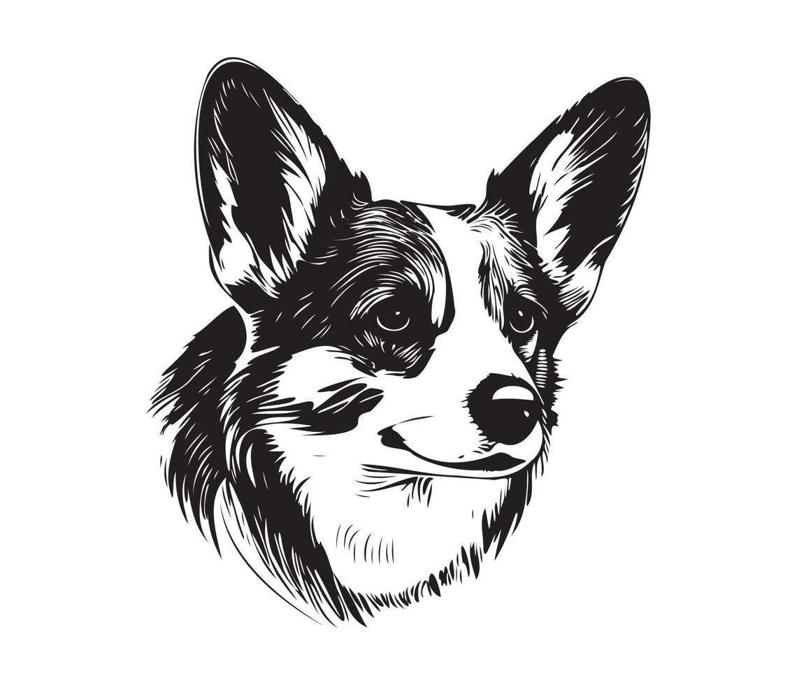 Pembroke Walisisch Corgi Gesicht, Silhouette Hund Gesicht, schwarz und Weiß Pembroke Walisisch Corgi Vektor