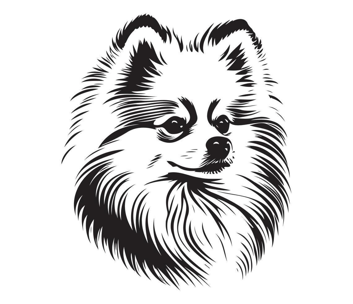 pommerschen Gesicht, Silhouette Hund Gesicht, schwarz und Weiß pommerschen Vektor