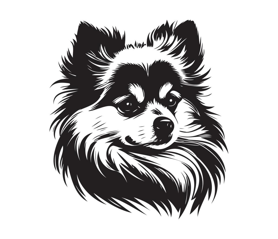 pommerschen Gesicht, Silhouette Hund Gesicht, schwarz und Weiß pommerschen Vektor
