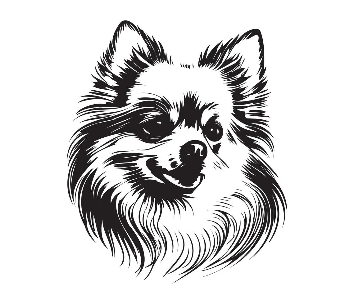 pomeranian ansikte, silhuett hund ansikte, svart och vit pomeranian vektor