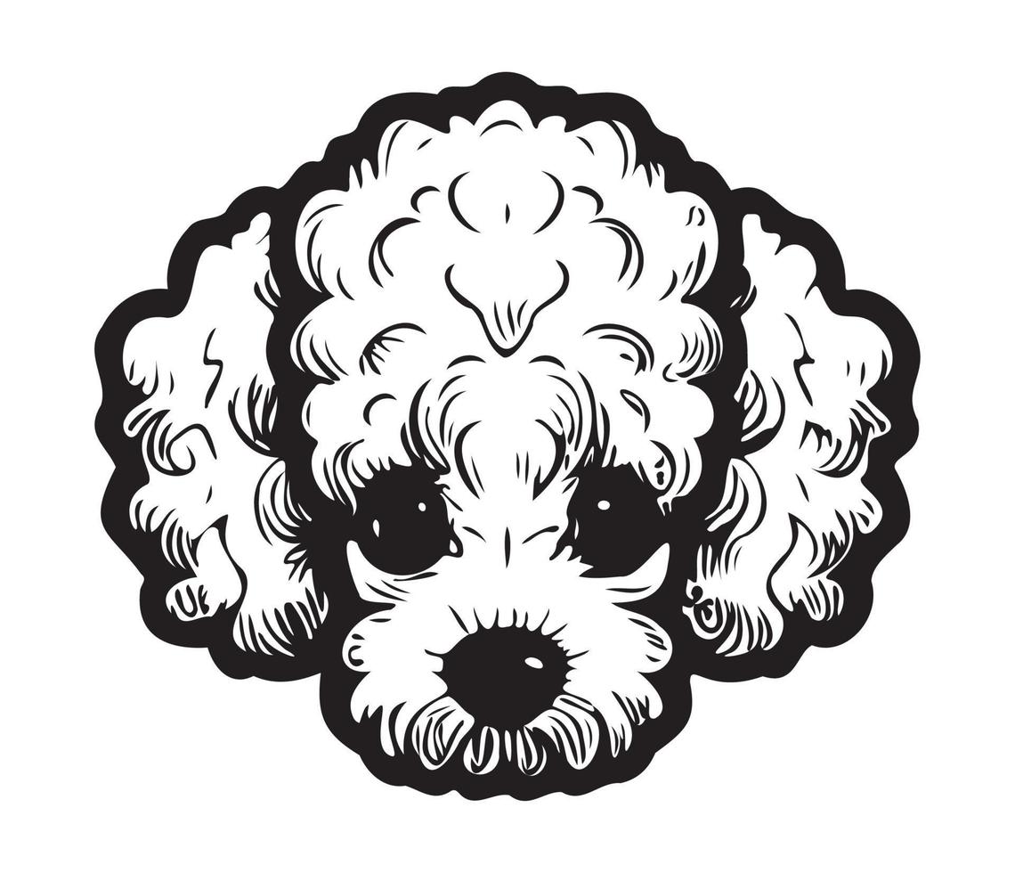 Pudel Gesicht, Silhouette Hund Gesicht, schwarz und Weiß Pudel Vektor