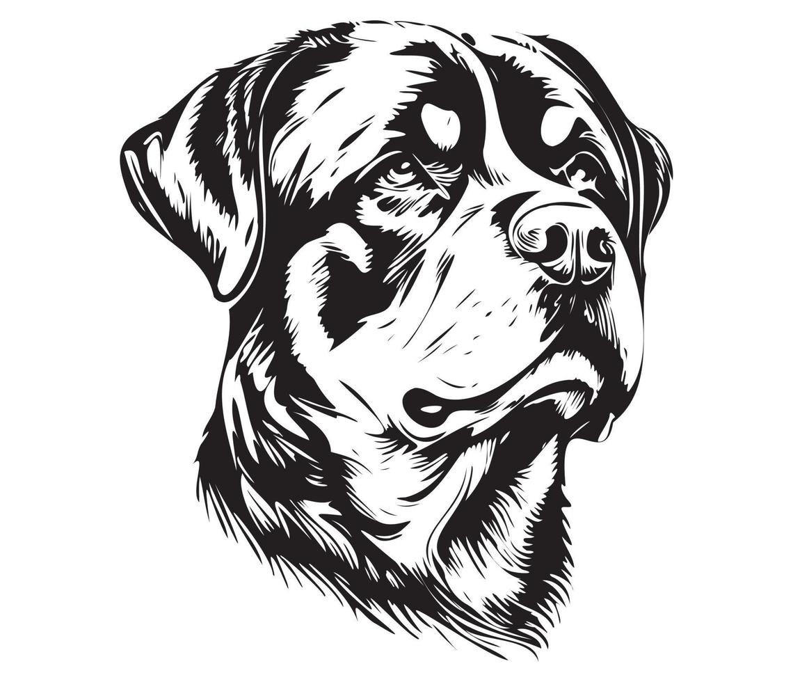 Rottweiler Gesicht, Silhouette Hund Gesicht, schwarz und Weiß Rottweiler Vektor