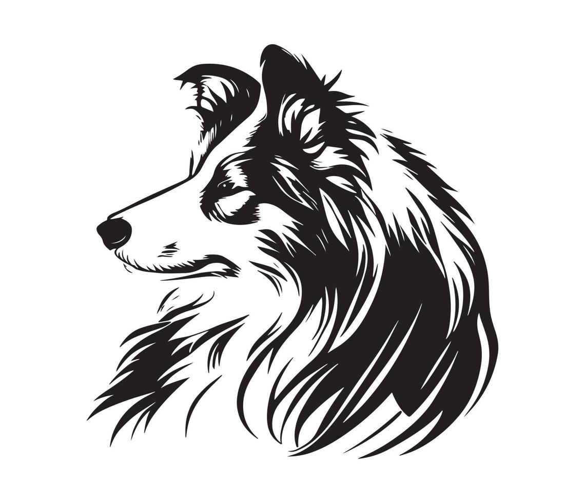 shetland sheepdog ansikte, silhuett hund ansikte, svart och vit shetland sheepdog vektor