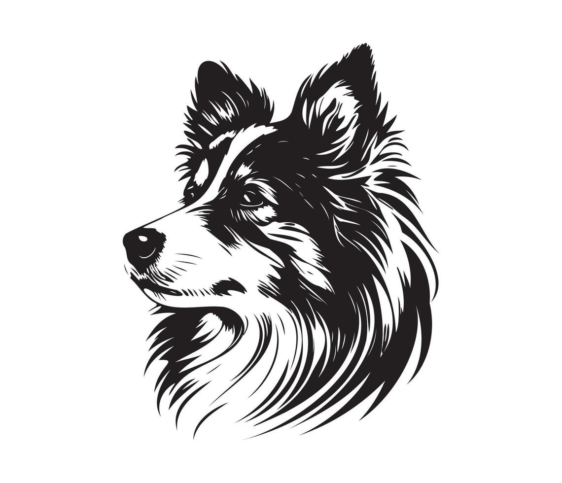 shetland sheepdog ansikte, silhuett hund ansikte, svart och vit shetland sheepdog vektor
