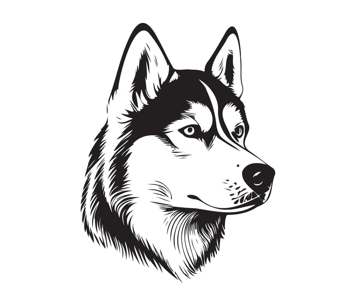 sibirisch heiser Gesicht, Silhouette Hund Gesicht, schwarz und Weiß sibirisch heiser Vektor