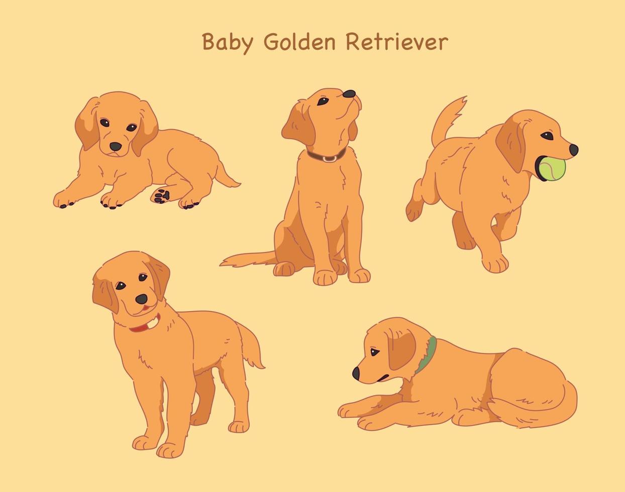 Golden Retriever handritad stil vektor design illustrationer.