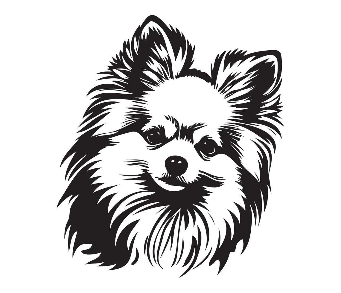 pomeranian ansikte, silhuett hund ansikte, svart och vit pomeranian vektor