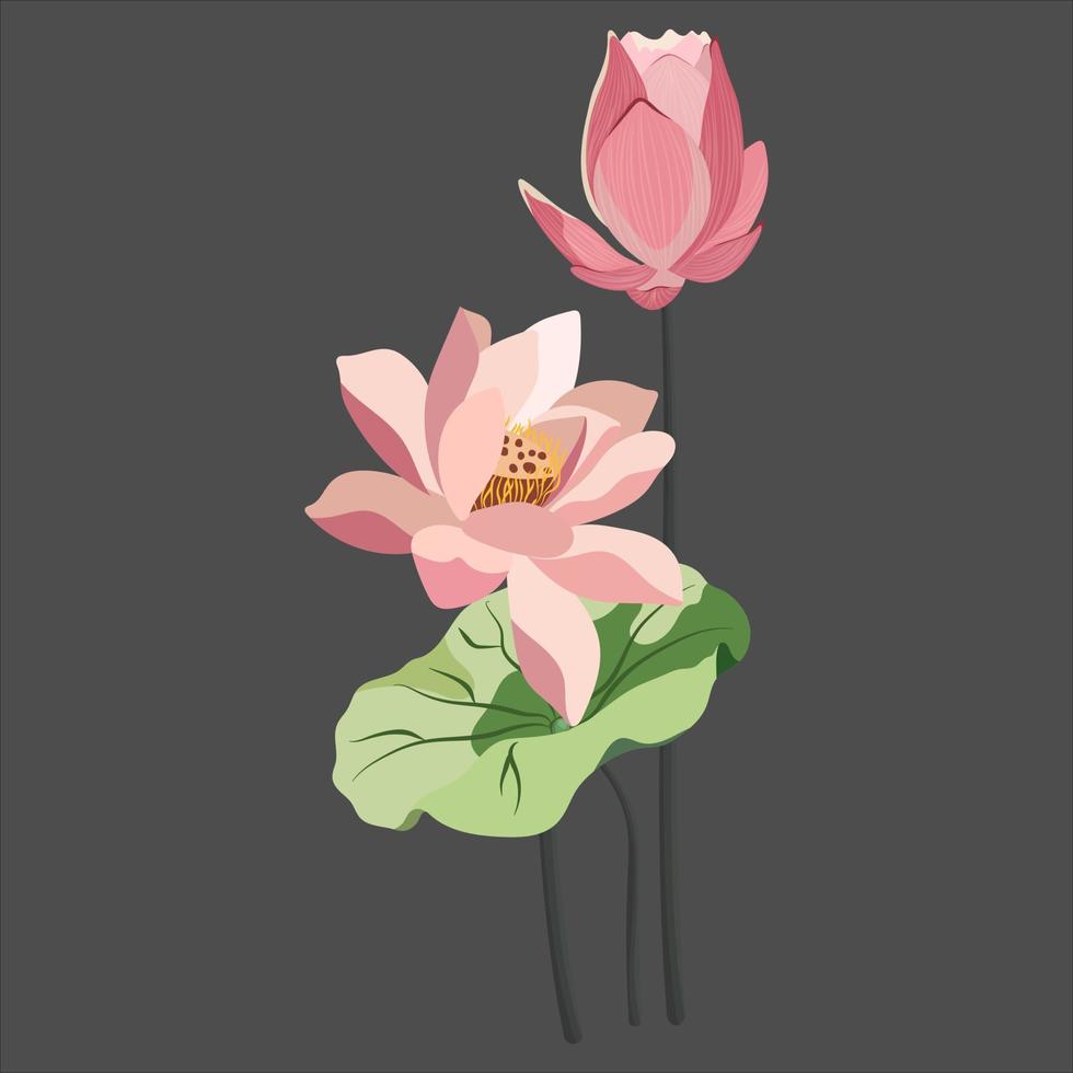 lotus blomma blomma och knopp. 3d realistisk vektor uppsättning av vit och rosa lotus blommor, stjälkar och löv för annons och inbjudan.