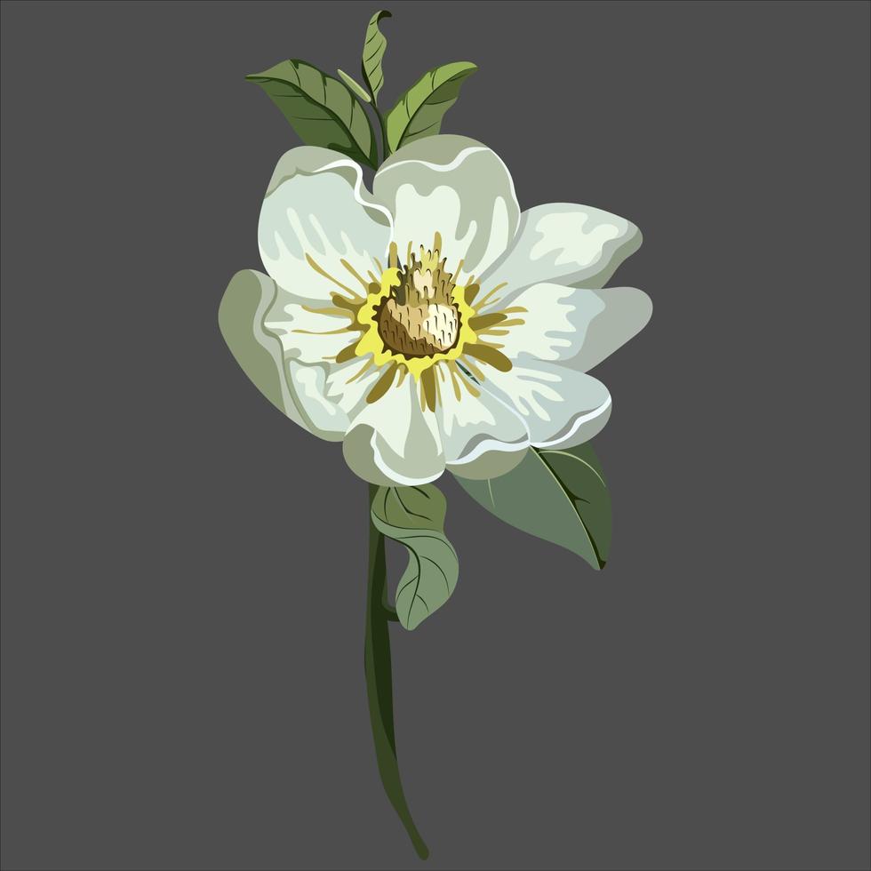 vår blomning blommor. isolerat realistisk vit kronblad, blommor, grenar, löv vektor uppsättning. vår träd illustration design