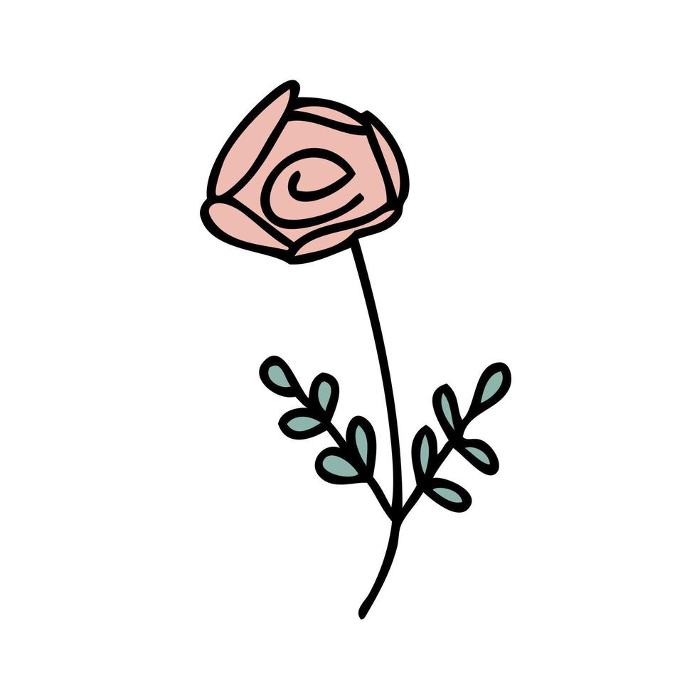 Hand gezeichnet Rose Blume im einfach Gekritzel Stil. vektor