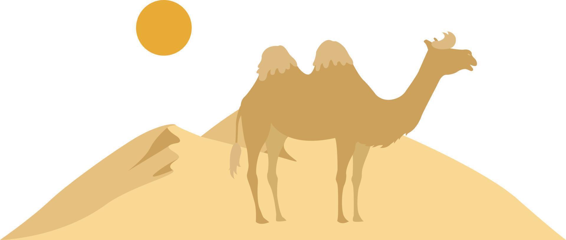 kamel i de öken- ikon. platt illustration sommar vektor