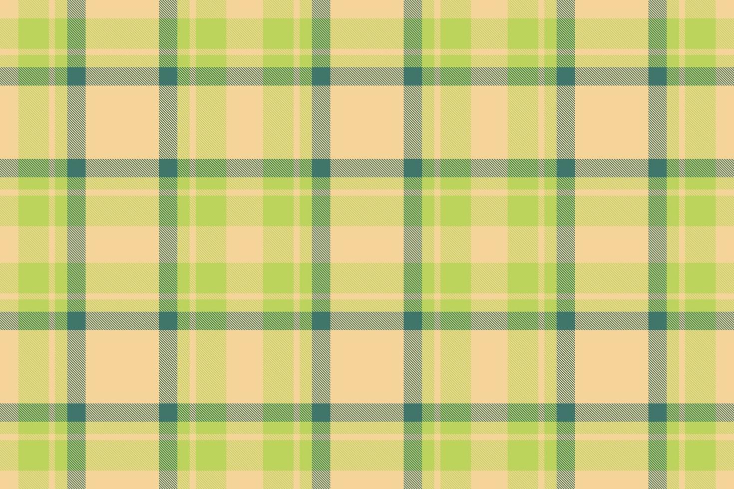 prüfen nahtlos Stoff. Textur Vektor Schottenstoff. Muster Textil- Hintergrund Plaid.