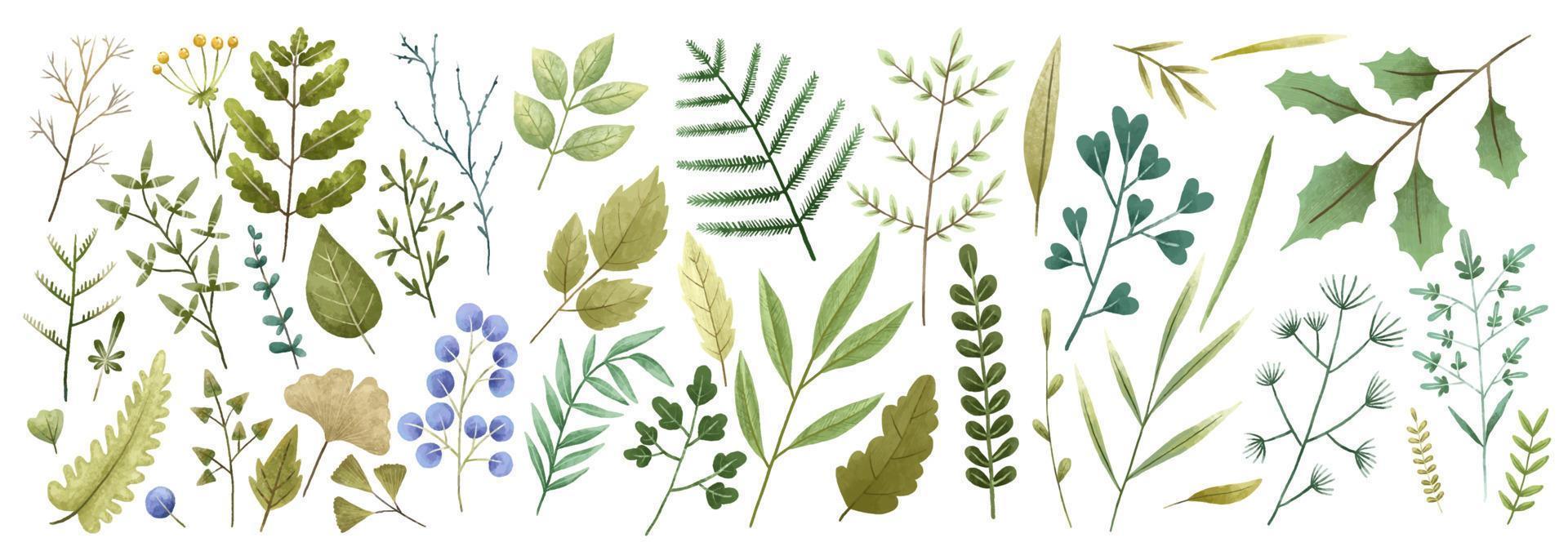 Hand gemalt botanisch Illustration, Blätter und Äste. Design und drucken vektor