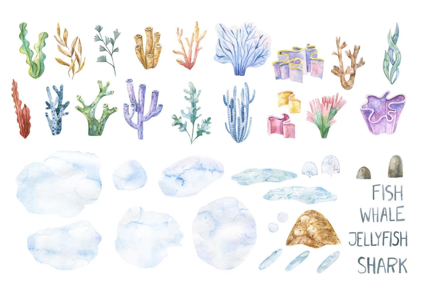 tång uppsättning. under vattnet växter. vattenfärg illustration. hav. sjögräs alger, korall rev design element. akvarium växter silhuetter vektor