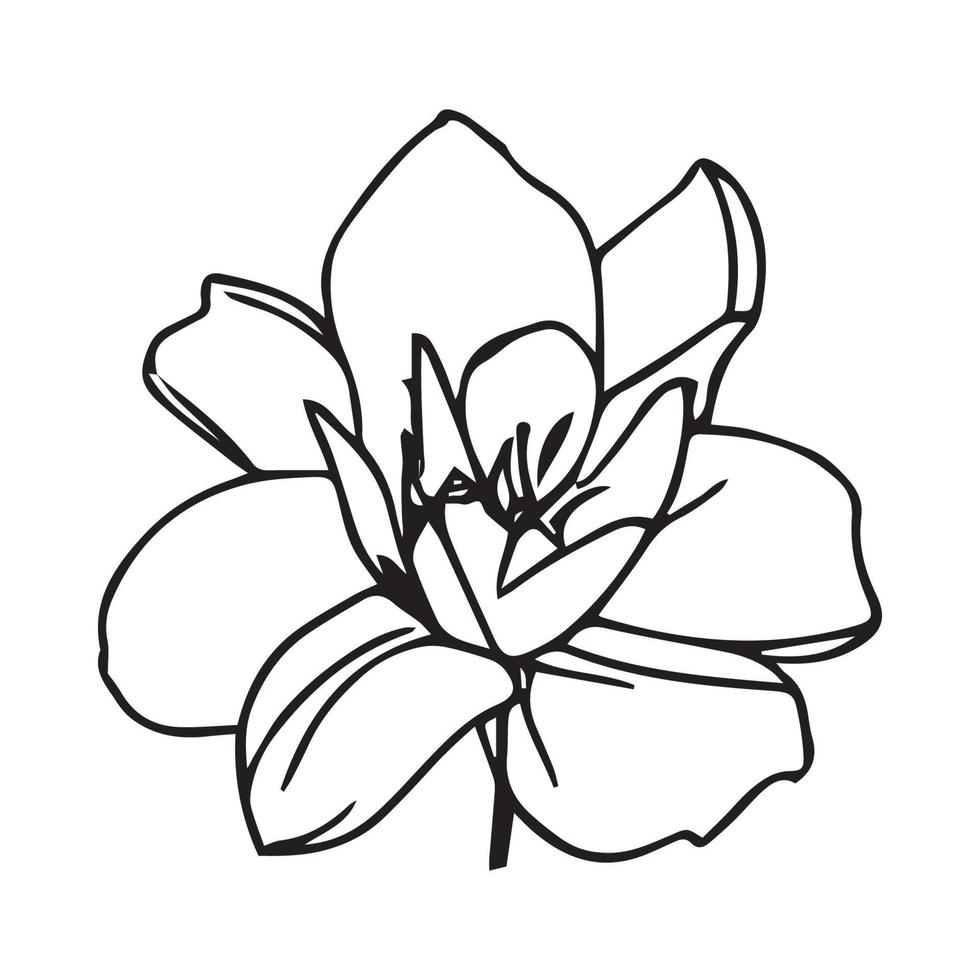 Blumen-Vektor-Illustration vektor