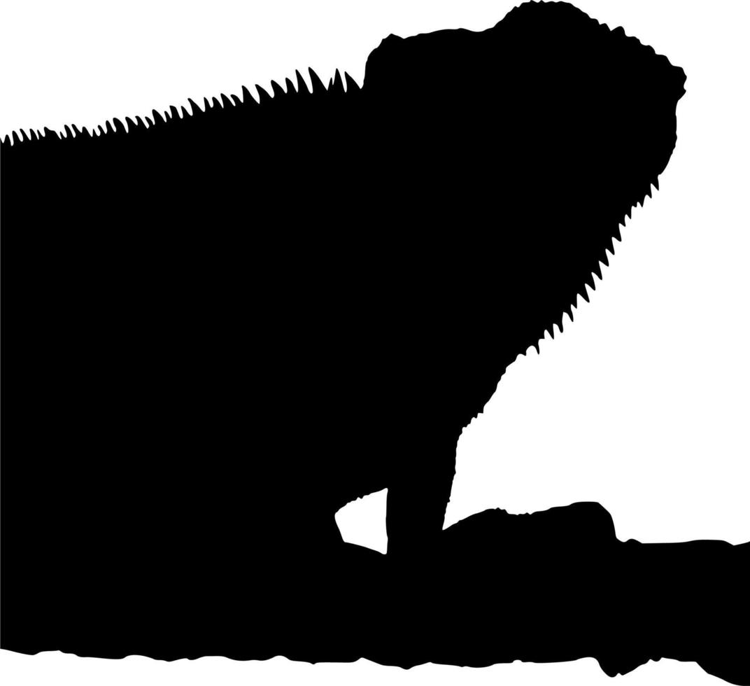 Vektor Silhouette von Leguan auf Weiß Hintergrund