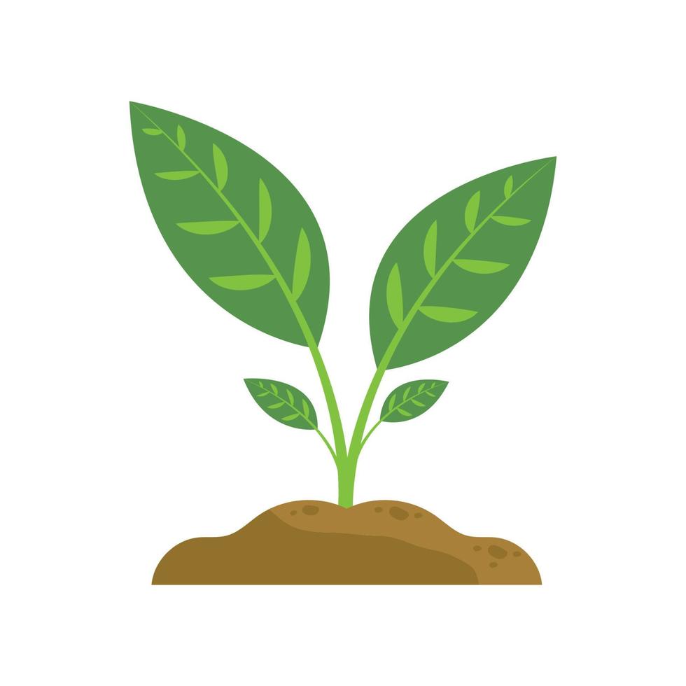 Pflanzen Symbol Vektor Illustration auf Weiß Hintergrund.