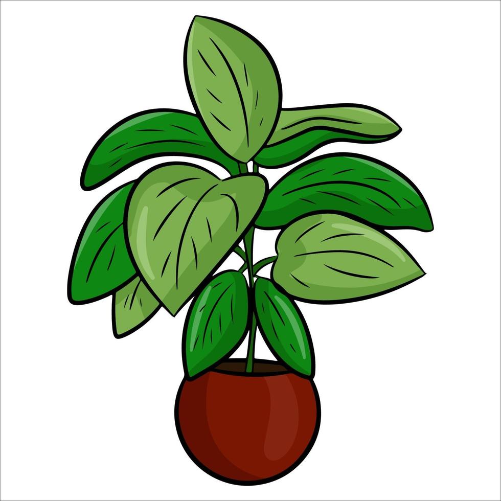 eine Topf-Zimmerpflanze im flachen Cartoon-Stil. ein Element für die Dekoration Ihres Hauses, Zimmers oder Büros. Vektorillustration lokalisiert auf einem weißen Hintergrund. vektor
