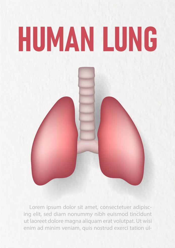 mänsklig lunga i 3d maska stil med text och exempel texter på vit papper mönster bakgrund. vektor