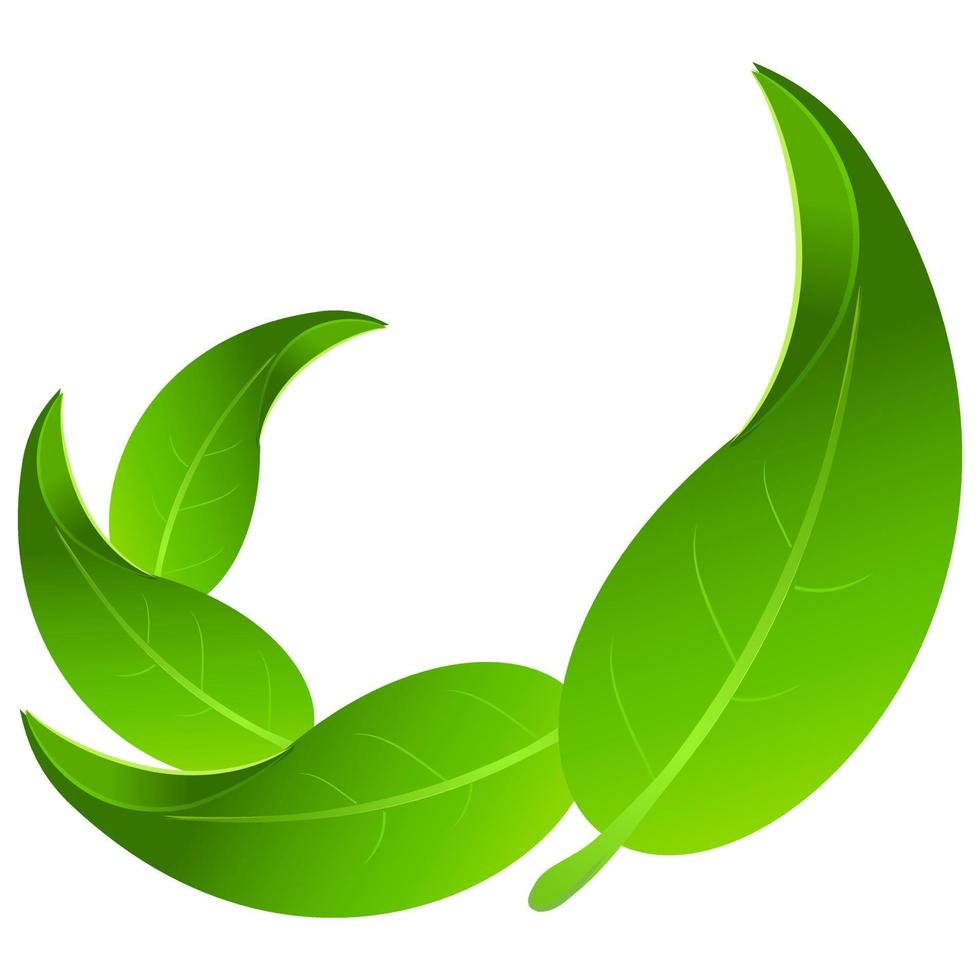 Vektor Sammlung von Grün Blätter ordentlich vereinbart worden mit realistisch klar Schattierung und Weiß Hintergrund. Vektor Blätter. Grün Blätter von Bäume und Pflanzen. Element zum Logo Öko und bio.