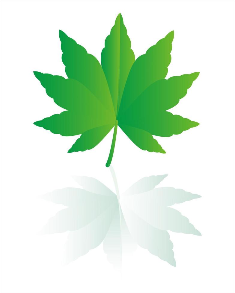 Vektor Baum Blätter mit realistisch klar Schatten und Weiß Hintergrund. Blatt vektor.elegant Illustration von dekorativ Schönheit zum Design