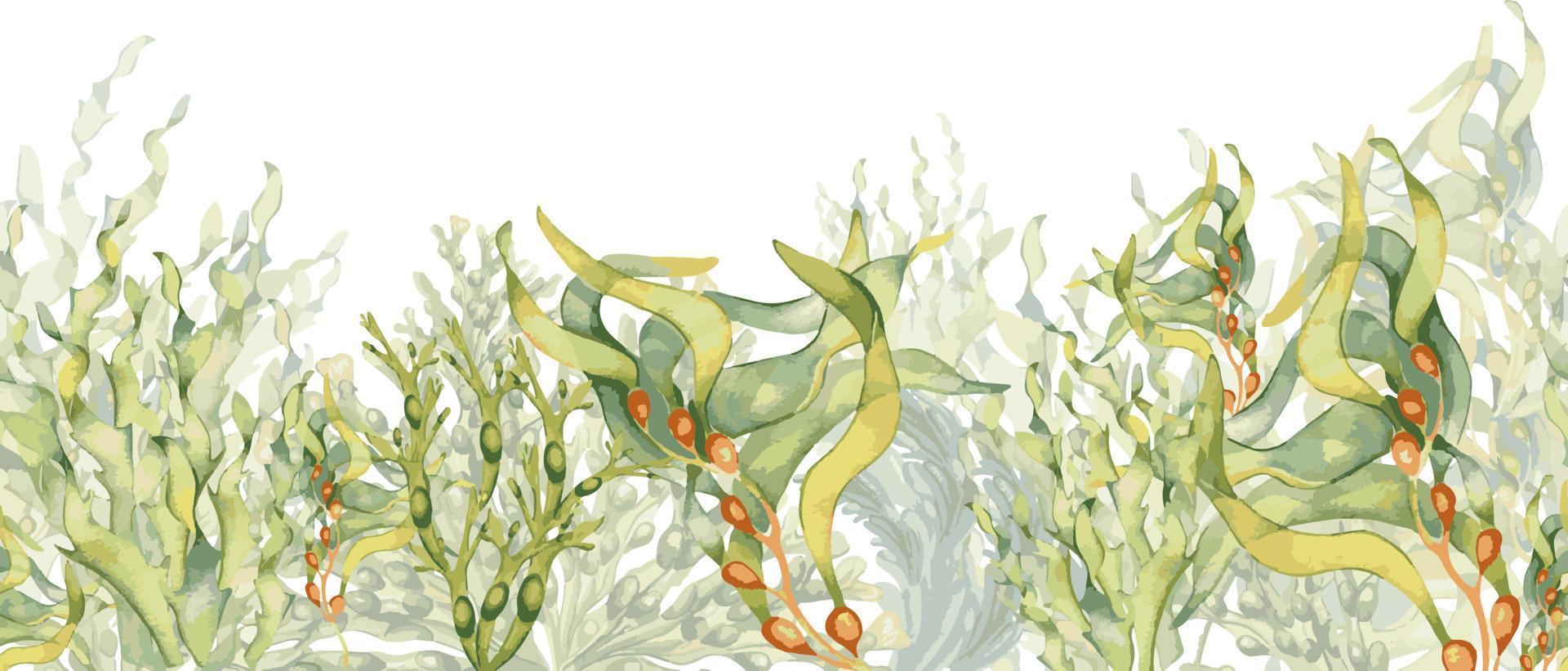 sömlös baner av färgrik hav växter vattenfärg illustration isolerat på vit. vektor