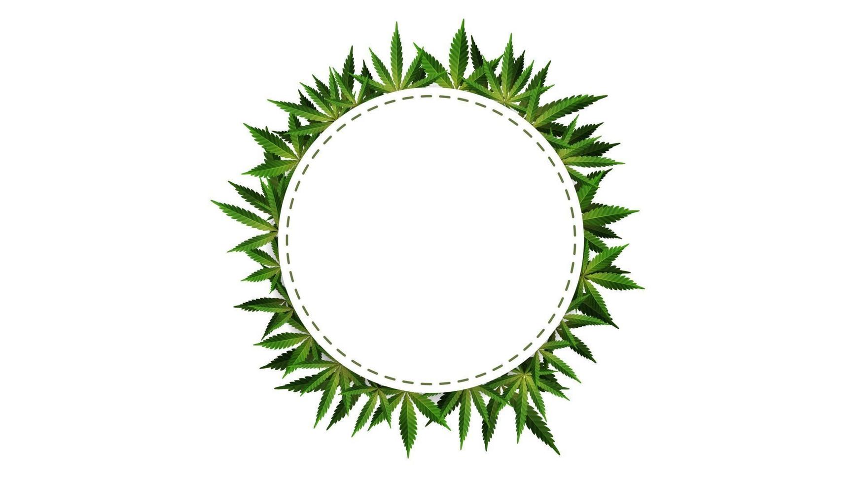 cirkelram av hampablad runt ett vitt tomt utrymme. cannabis blad ram mall för cannabisindustrin vektor