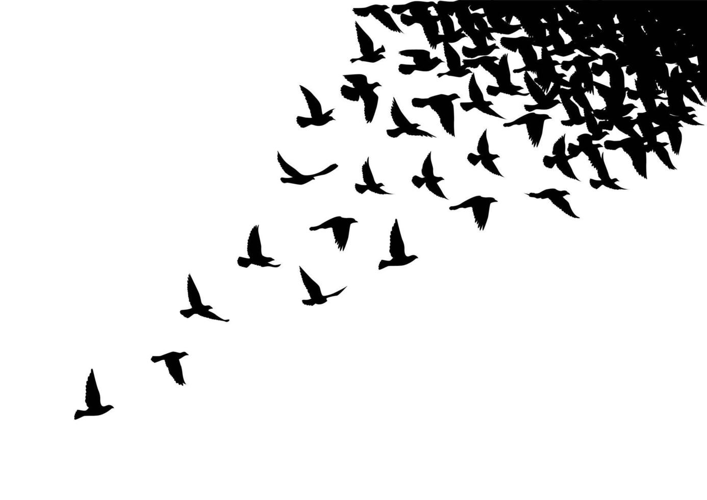 fliegende Vögel Silhouetten auf weißem Hintergrund. Vektorillustration. isoliertes Vogelfliegen. Tattoo Design. vektor