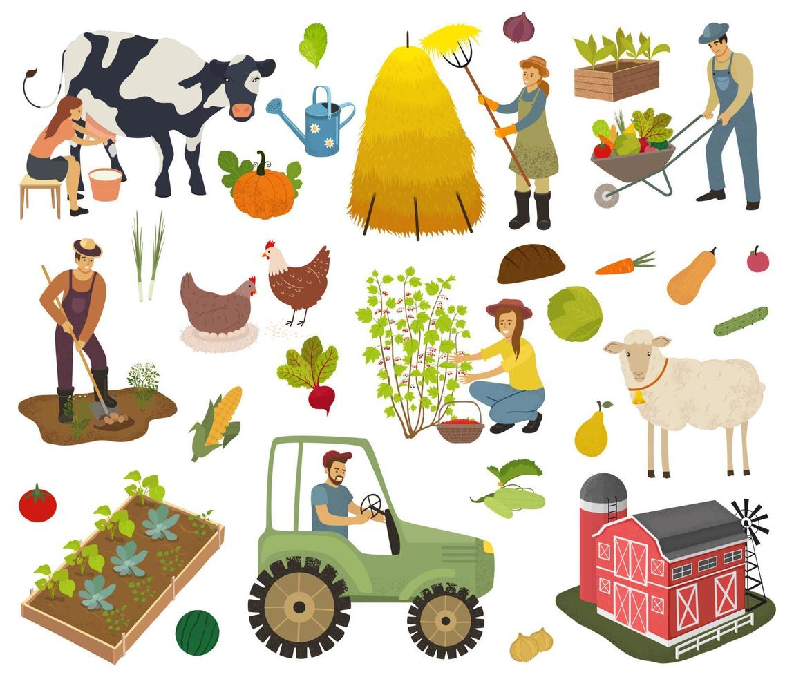 jordbrukare do jordbruks arbete, plantering, sammankomst gröda. kvinna mjölk en ko och plockning bär. jordbruks arbetare. bruka djur, frukt och grönsaker isolerat vektor illustration.