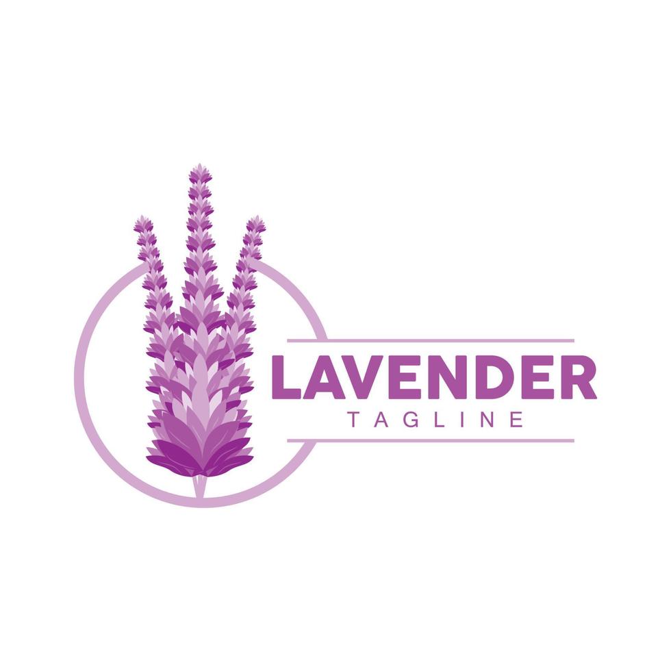 lavendel- logotyp, hand dragen bröllop växt design, lantbruk vektor, symbol illustration mall ikon vektor