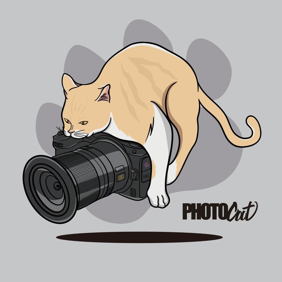 ein Katze tun etwas zu das Fotokatze vektor