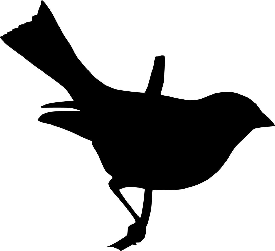 Vektor Silhouette von Vogel auf Weiß Hintergrund