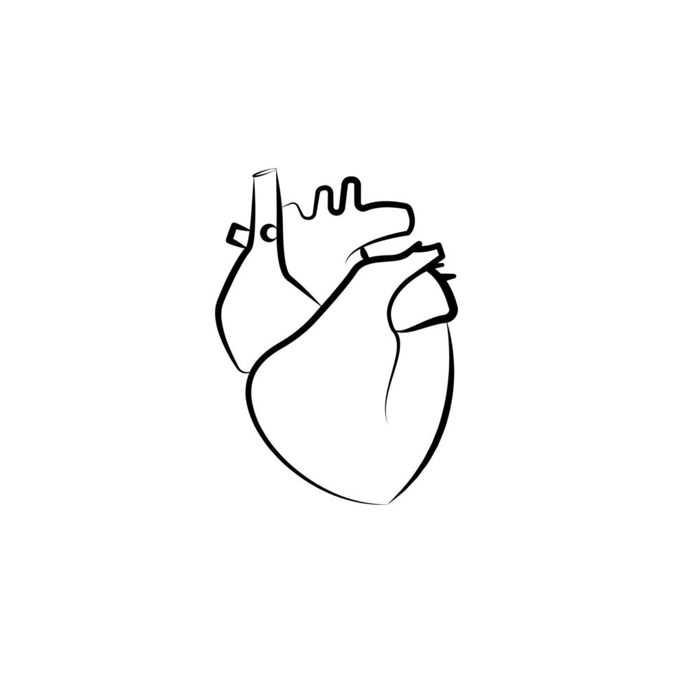 hjärta, organ vektor ikon illustration