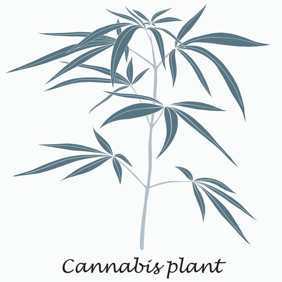 Einfachheit Cannabispflanze Freihandzeichnen flaches Design. vektor