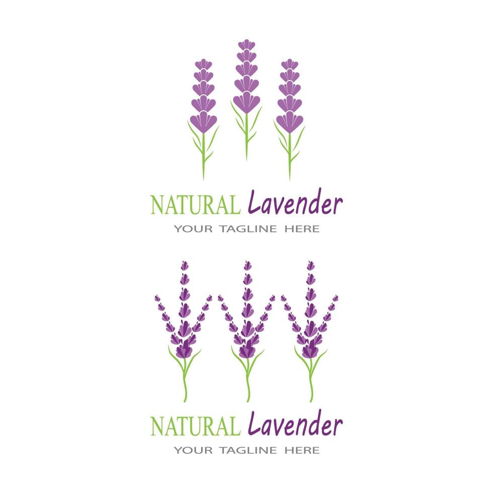 Lavendel Logo Vorlage Vektor Symbol Natur