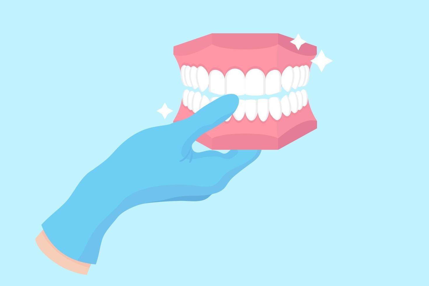vektor tecknad hand av en tandläkare i en blå handske som håller en dental fantom eller plast modell av mänskliga käken.