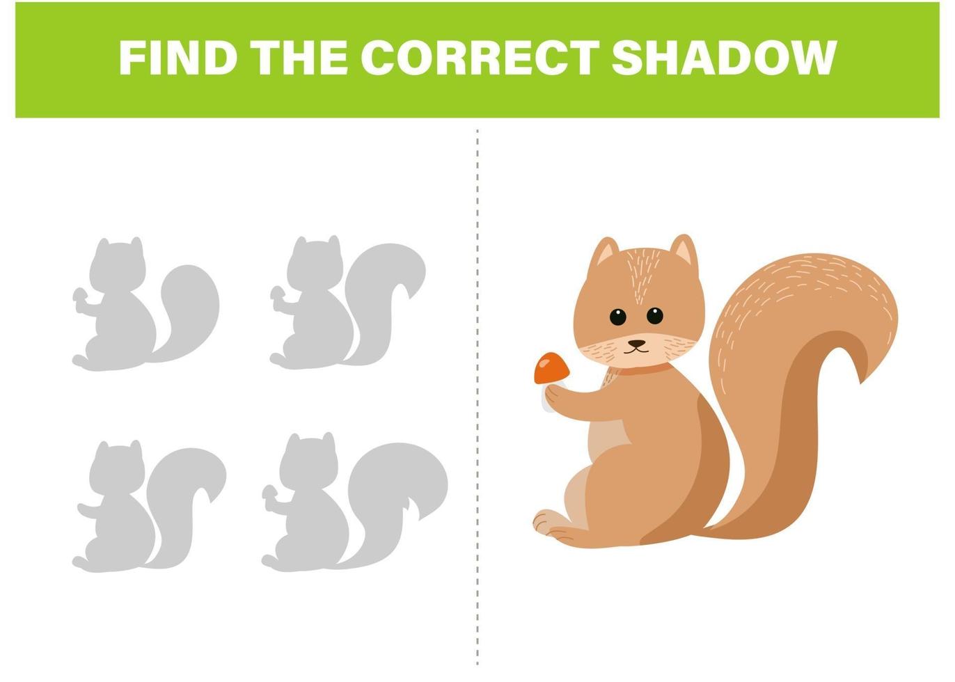 Finden Sie die richtige Schatten niedlichen Eichhörnchen Aktivitätsvorlage vektor