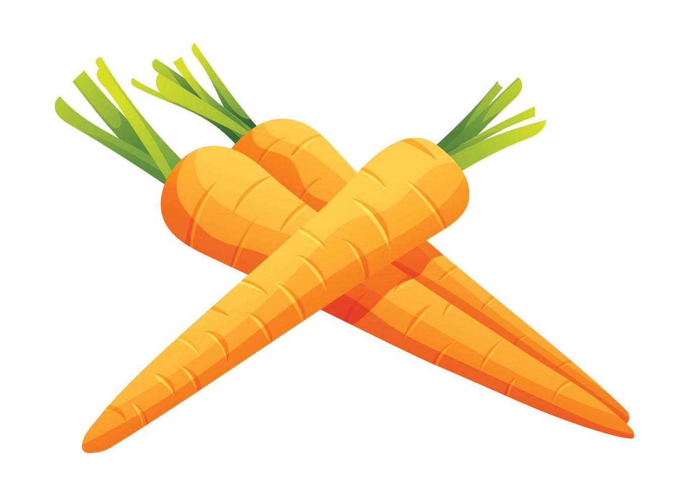 Karotte Vektor Illustration Satz. frisch Gemüse isoliert auf Weiß Hintergrund